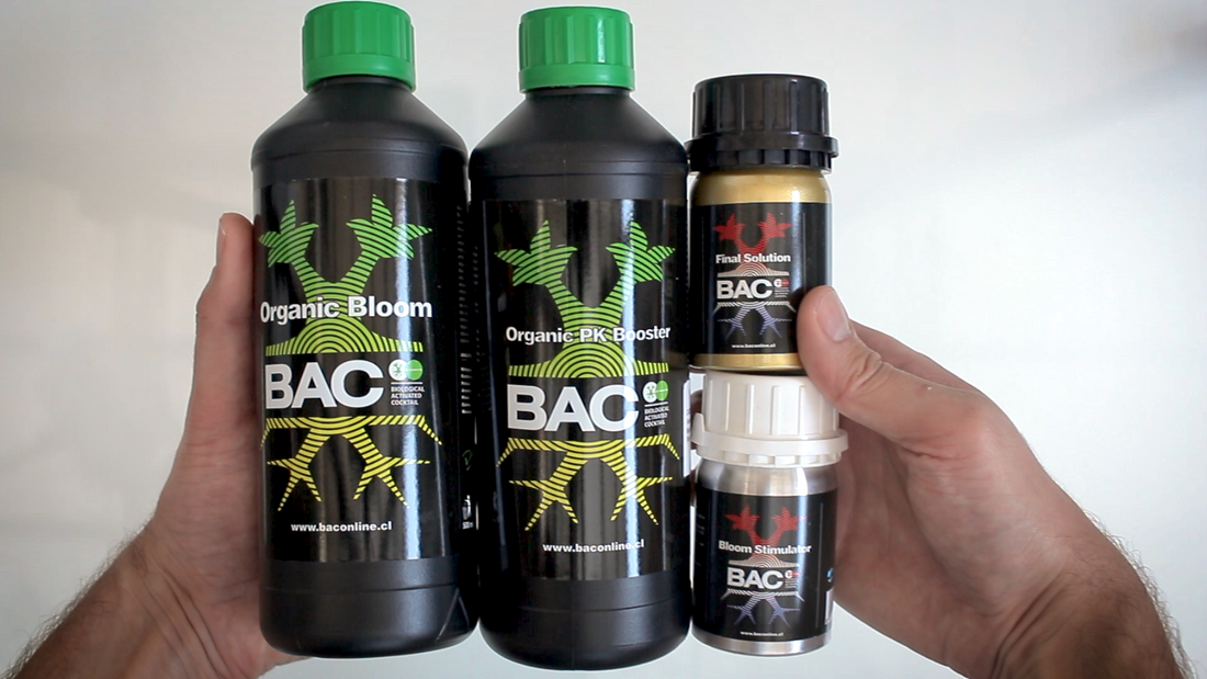 Floracion con B.A.C., Capitulo 5