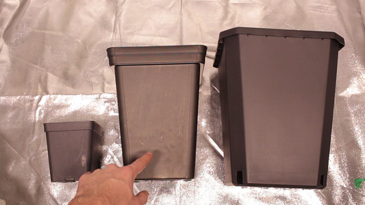 Transplantes, Capitulo 6