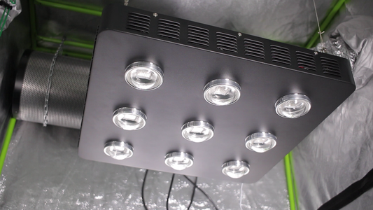 Equipos Piranha Capitulo 7