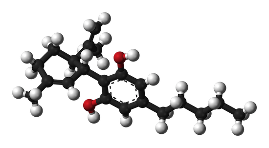Las propiedades medicinales de las semillas de marihuana ricas en CBD