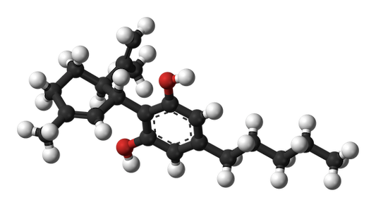 Las propiedades medicinales de las semillas de marihuana ricas en CBD