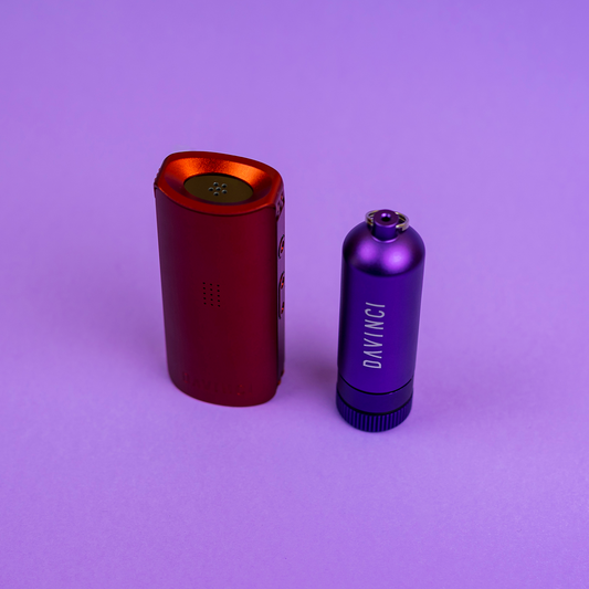 ¿Cómo elegir un vaporizador?