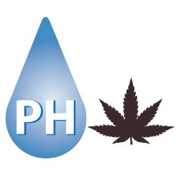 PH: El secreto de la óptima absorción de nutrientes