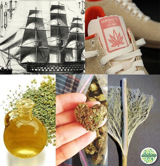 ¿Para qué se usaba el cannabis?