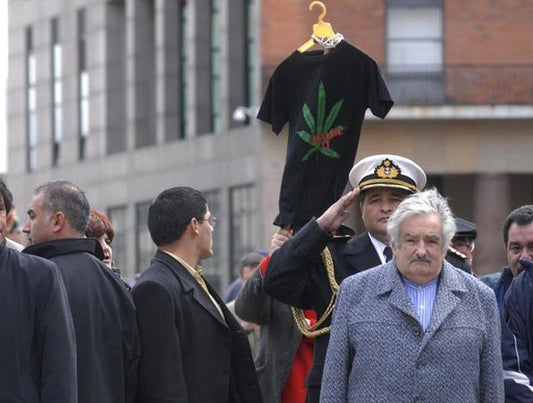 La Cámara de Diputados de Uruguay aprueba la legalización de la marihuana
