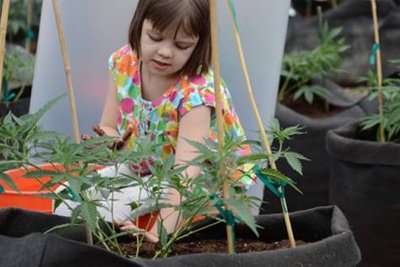 Marihuana medicinal salva la vida de niña epiléptica de 3 años
