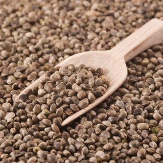 Beneficios de la semilla de cáñamo para la salud