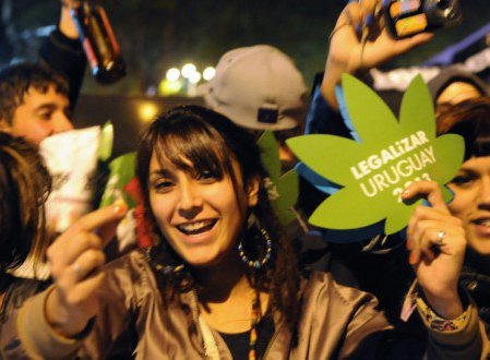 Cannabis Legal para el 2015 en Uruguay