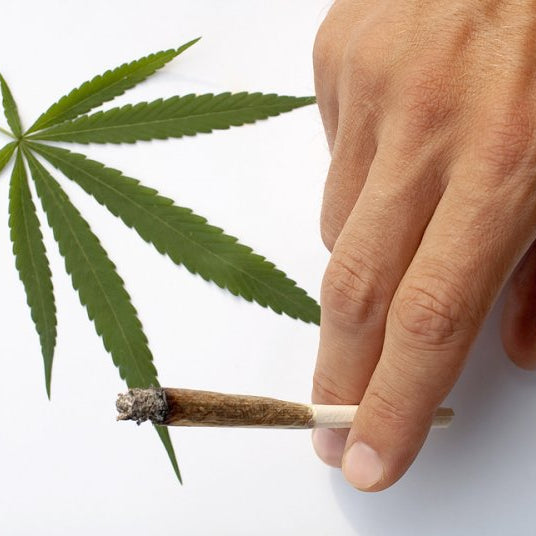 Comisión de Salud aprueba idea de legislar despenalización del autocultivo de la marihuana