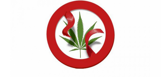 Histórico Avance en despenalización del autocultivo