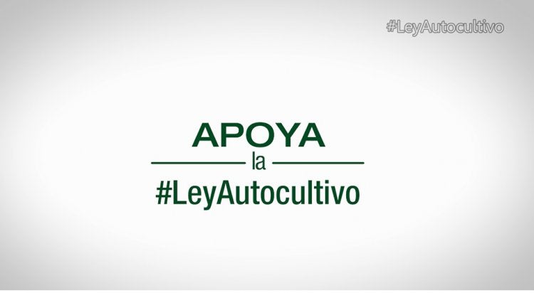 Apoya la ley Autocultivo