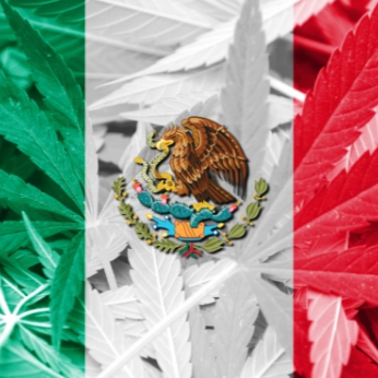 México legaliza la marihuana con fines recreativos
