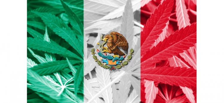 México legaliza la marihuana con fines recreativos