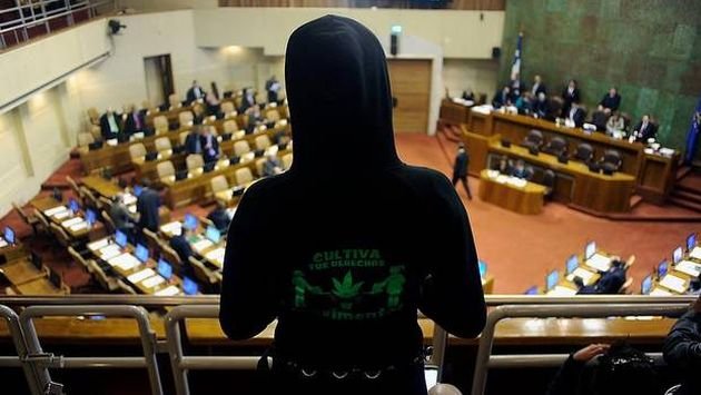 Proyecto Autocultivo: Libertad Restringida