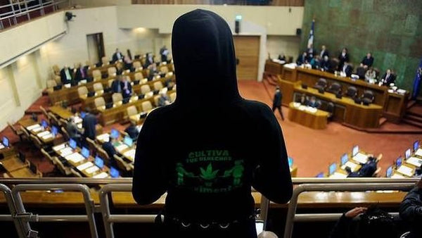 Proyecto Autocultivo: Libertad Restringida