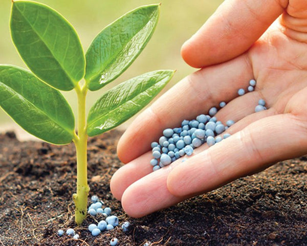 Fertilizantes