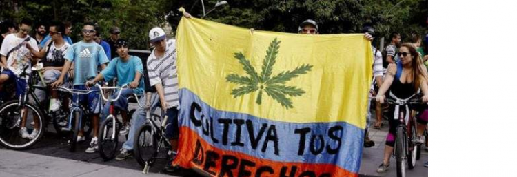 Colombia y el cannabis medicinal
