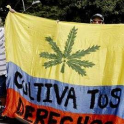 Colombia y el cannabis medicinal