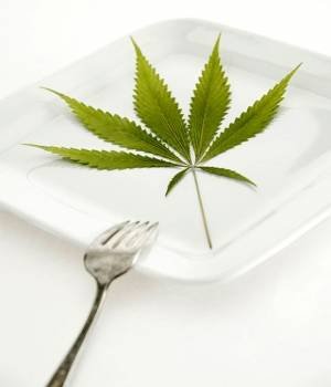 Cocina Cannábica: La comida y el cannabis.