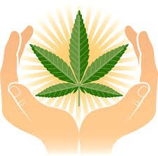 Marihuana medicinal: 10 enfermedades a tratar
