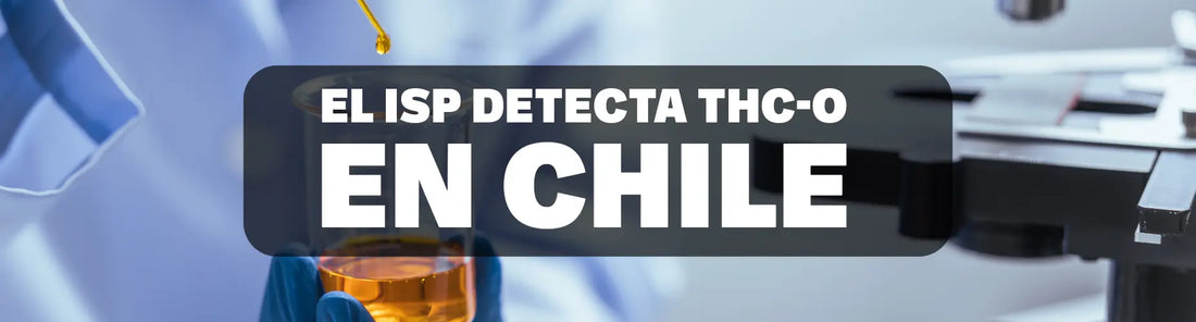 El ISP detecta THC-O en Chile: ¿qué es y por qué debes tener cuidado?