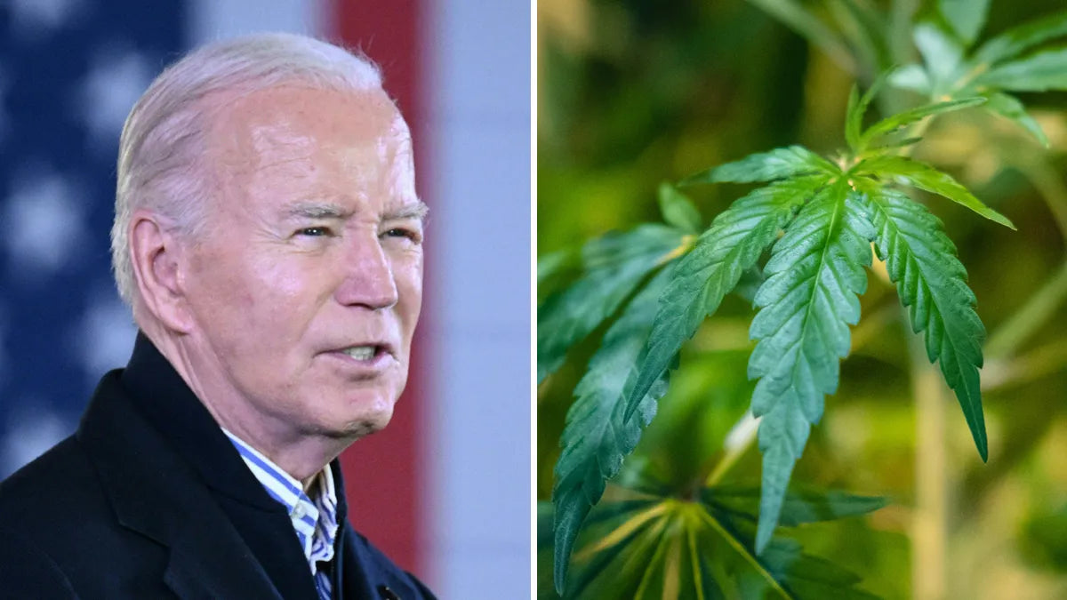 Presidente Biden de EEUU reclasificara la Marihuana a Lista 3