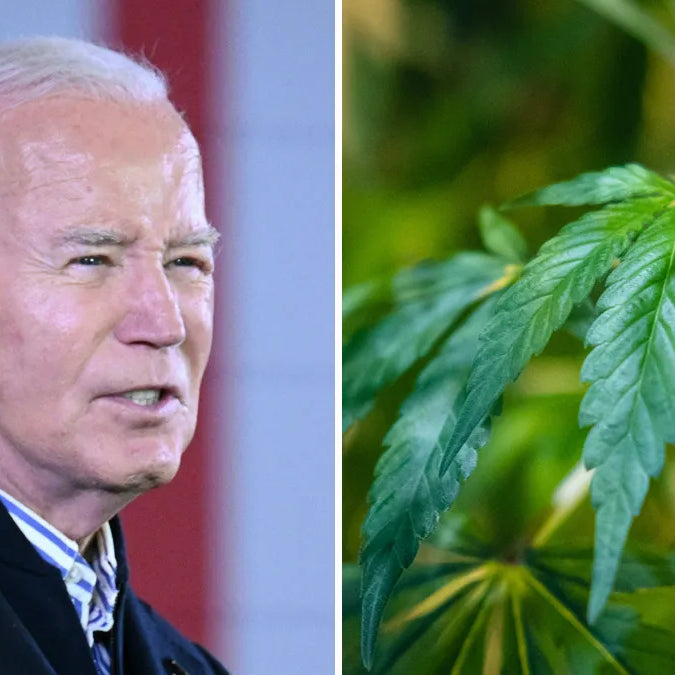 Presidente Biden de EEUU reclasificara la Marihuana a Lista 3