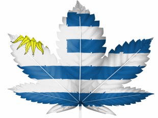 Uruguay: la venta de marihuana legal en farmacias se retrasará