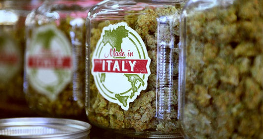 Italia: Se sigue ensanchando el camino a la legalidad verde.