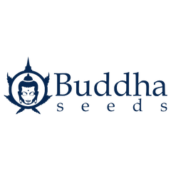 Banco de semillas Buddha Seeds