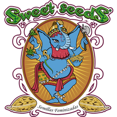 Sweet Seeds Feminizadas