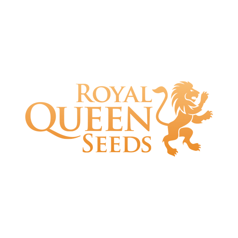 Semillas Royal Queen Seeds