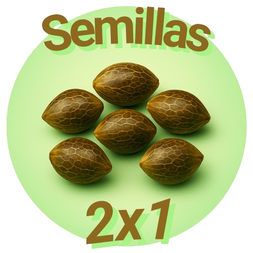 Semillas 2X1