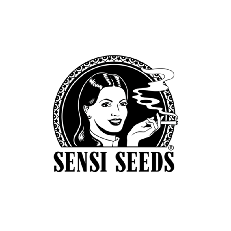 NUEVAS semillas de marihuana, Sensi Seeds Research