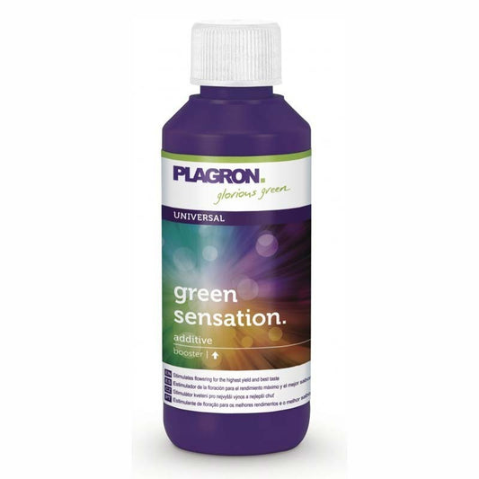 GREEN SENSATION 100ML PLAGRON