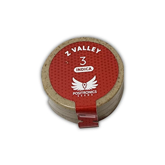 POSITRONICS Z VALLEY 3UDS