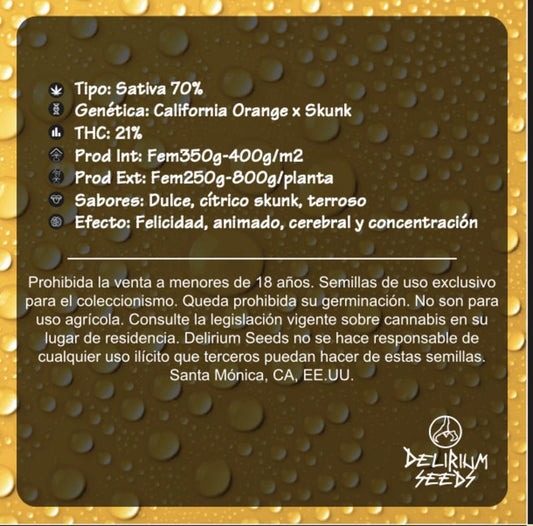 DELIRIUM SEEDS DELIRIUM TANGI 2UDS