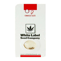 WHITE LABEL SNOW RYDER AUTO 3+1UDS