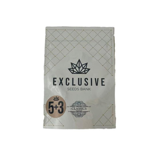 EXCLUSIVE SEEDS JAMAICAN SHARK 5+3UDS