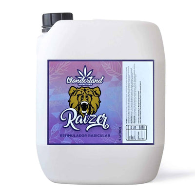 RAIZER 5LT-WONDERLAND (DS)