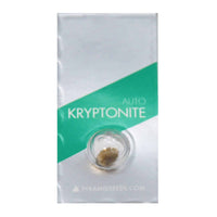 KRYPTONITE AUTO X1- PYRAMID SEEDS (DS)