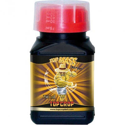 TOP MASS 250ML-TOP CROP (DS)