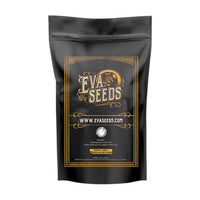 JAMAICAN DREAM FEM X100 - EVA SEEDS (DS)