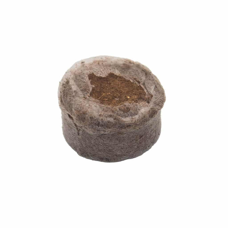 PACK PASTILLAS JIFFY 7 COCO 100UN 30X30MM-JIFFY (DS)
