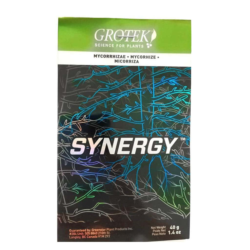 SYNERGY 40GR-GROTEK (DS)