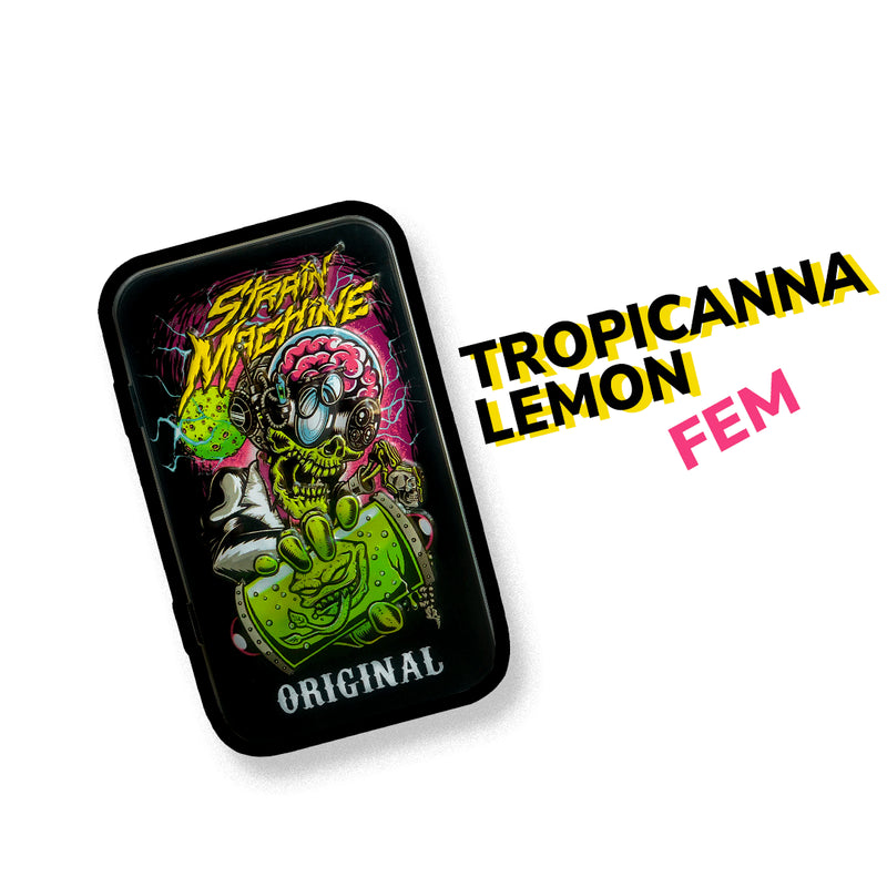 TROPICANNA LEMON FEM X3 + 1 - STRAIN MACHINE (DS)