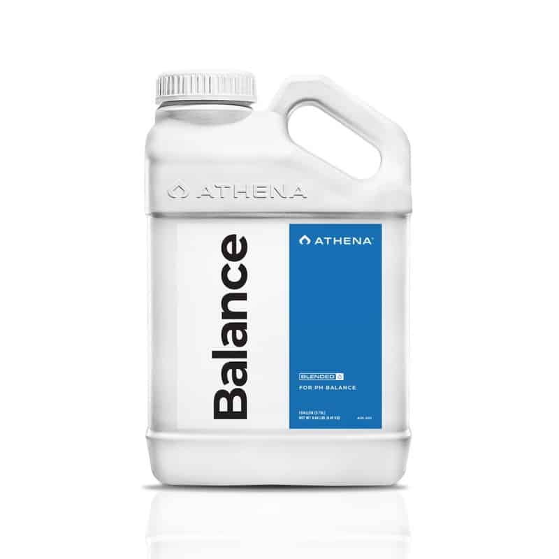 BALANCE 1LT-ATHENA (DS)