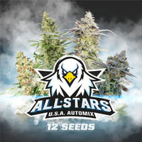 ALL STARS USA MIX AUTO X12 -BSF (DS)