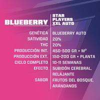 BLUE BERRY AUTO X7 -BSF (DS)
