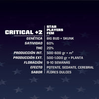 CRITICAL +2 FEM X4 -BSF (DS)